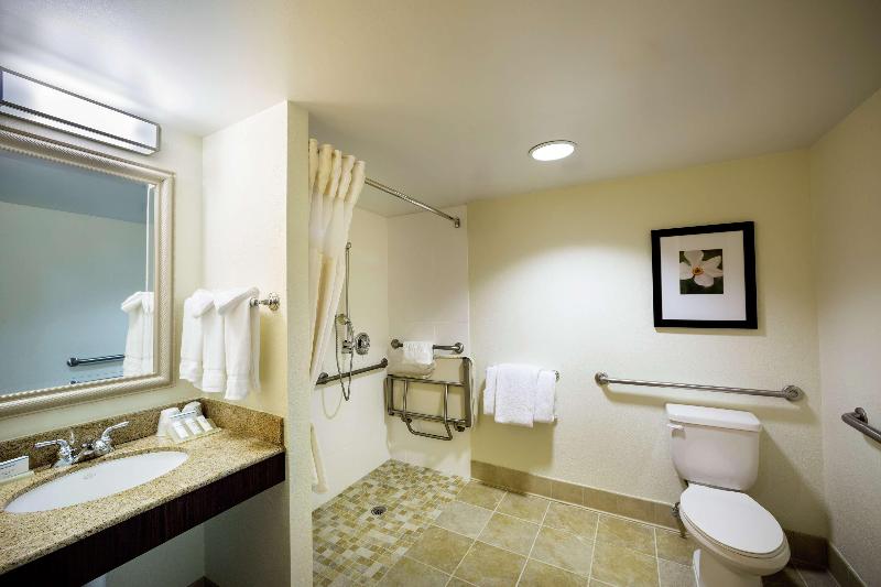 带大床的小型套房, Hilton Garden Inn Richmond Innsbrook