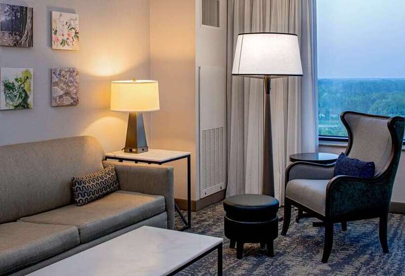 Büyük Çift Kişilik Yataklı Süit, Hilton Shreveport