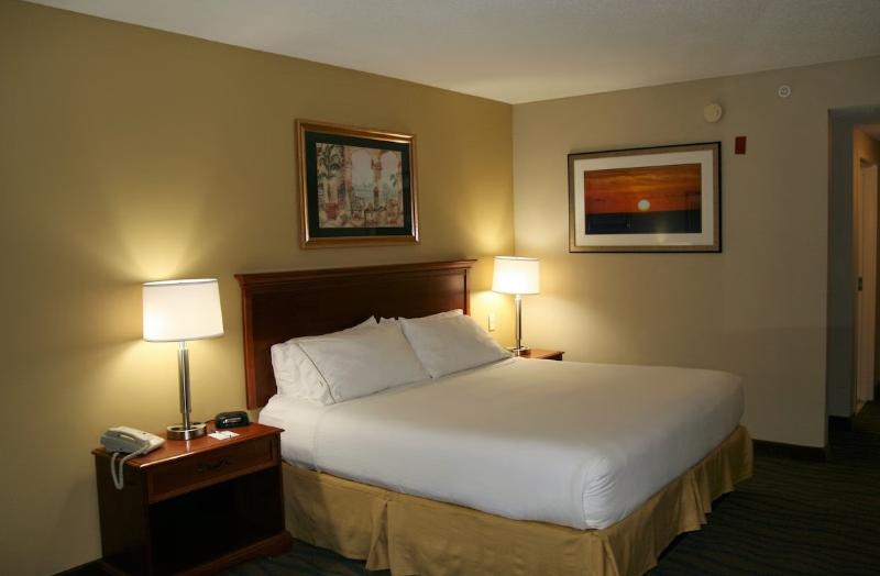 스탠다드 룸 킹사이즈 침대, Holiday Inn Express Hotel & Suites Brooksville West By Ihg