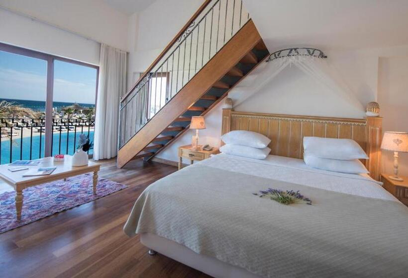 家庭海景房, Cocos The Club Solto