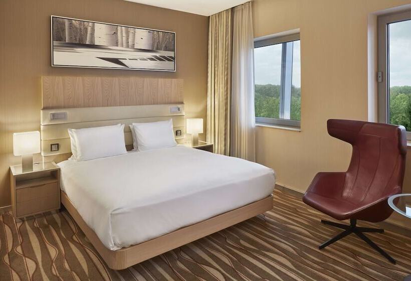 اتاق اجرایی, Hilton Frankfurt Airport