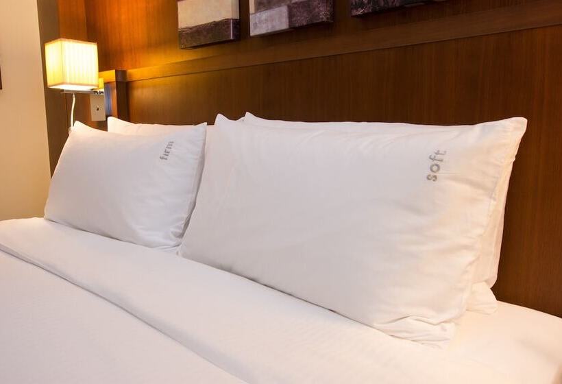 Номер Стандарт, Holiday Inn Abu Dhabi, An Ihg
