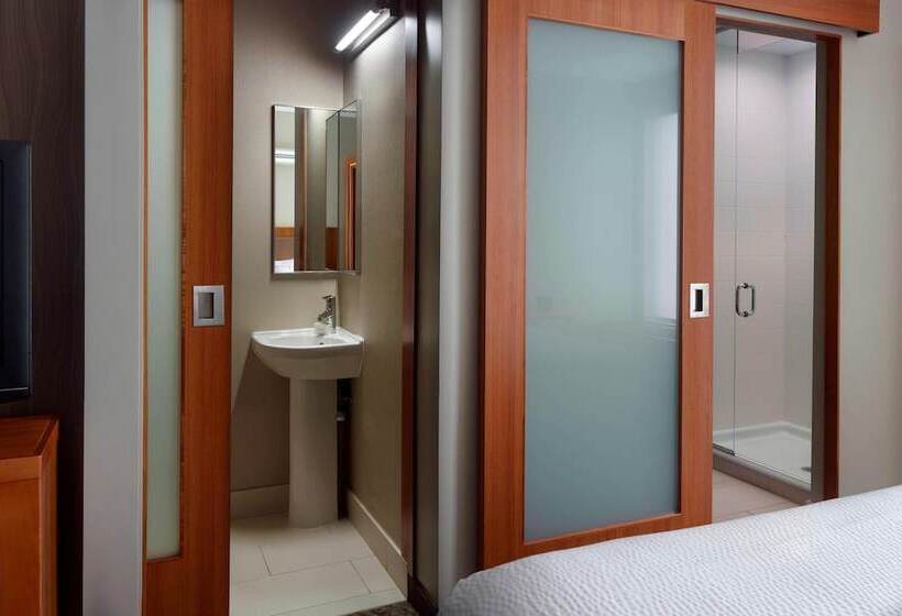 スイート, Springhill Suites By Marriott Atlanta Airport Gateway
