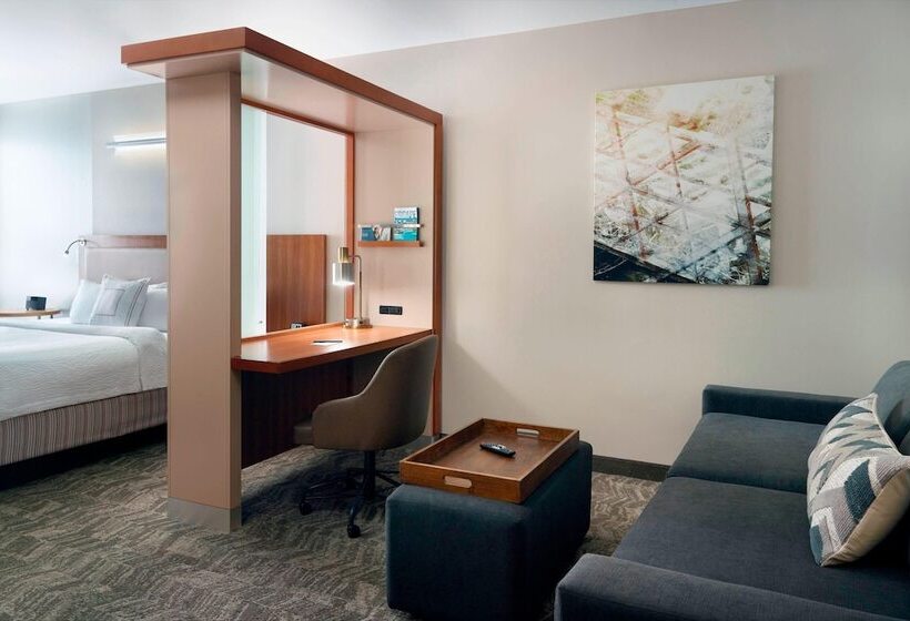 スイート, Springhill Suites By Marriott Atlanta Airport Gateway