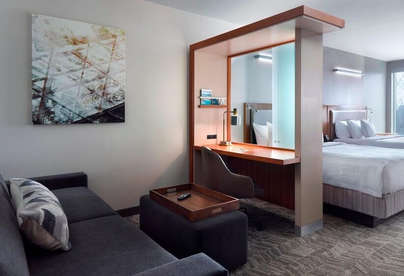 スイート, Springhill Suites By Marriott Atlanta Airport Gateway