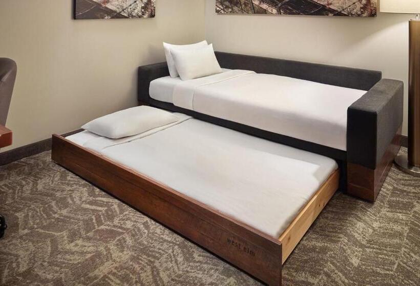 キングサイズベッドのスイートルーム, Springhill Suites By Marriott Atlanta Airport Gateway