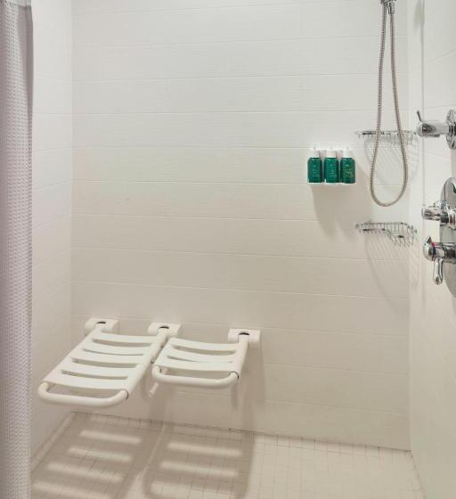 スイート, Springhill Suites By Marriott Atlanta Airport Gateway