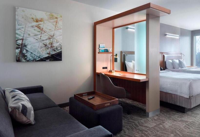 スイート, Springhill Suites By Marriott Atlanta Airport Gateway
