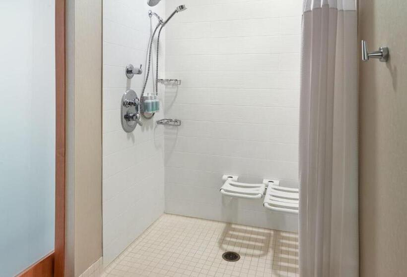 身障者適用スイートルーム, Springhill Suites By Marriott Atlanta Airport Gateway