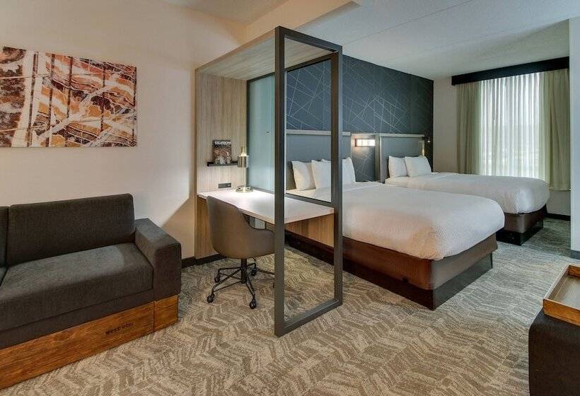 스탠다드 스튜디오, Springhill Suites By Marriott Birmingham Downtown At Uab
