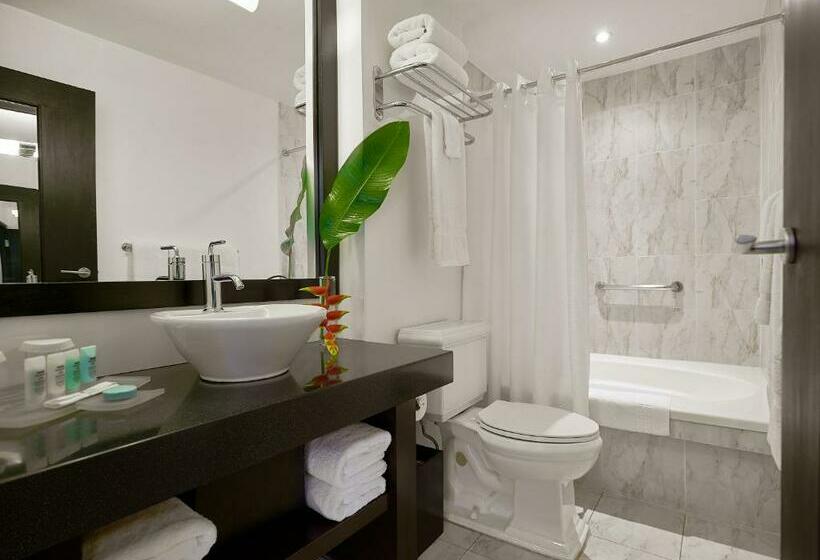 اتاق لوکس با تخت بزرگ, S Hotel Kingston