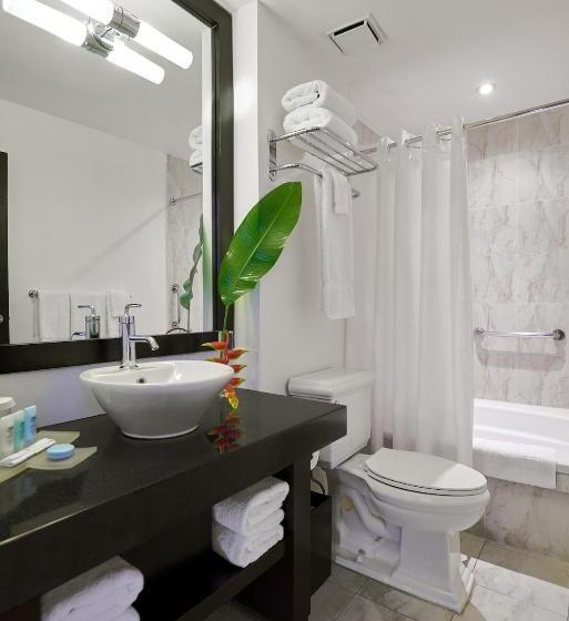 اتاق استاندارد با تخت بزرگ, S Hotel Kingston