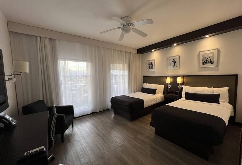 اتاق لوکس, S Hotel Kingston