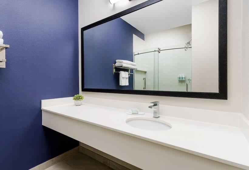 Люкс, Fairfield Inn And Suites By Marriott Houston The Woodlands