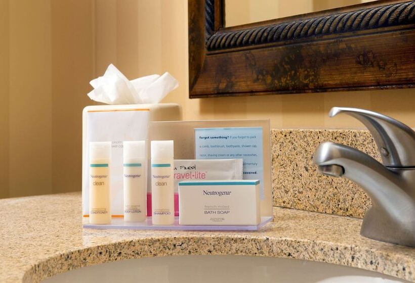 Chambre Standard, Hampton Inn & Suites San Antonioairport