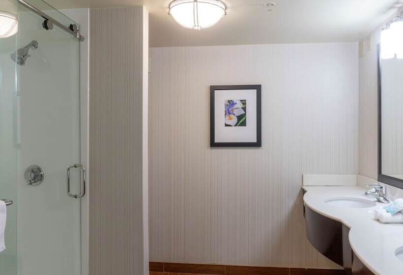 Полулюкс, Hilton Garden Inn Plymouth