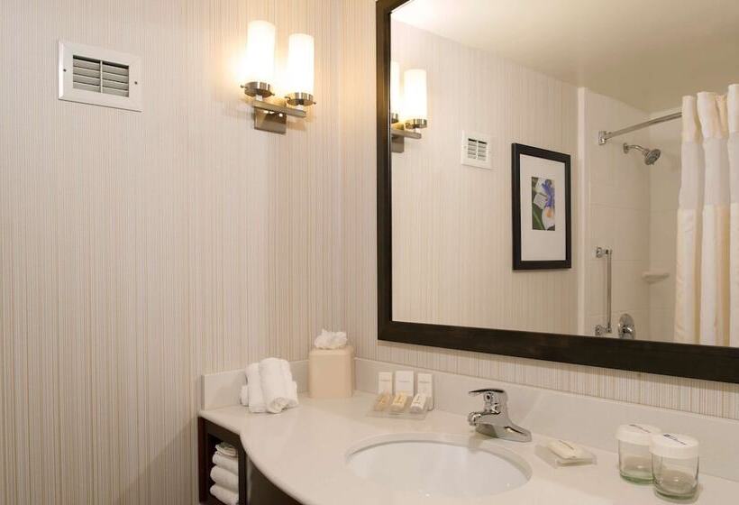 Номер Стандарт Адаптированный для Инвалидов, Hilton Garden Inn Plymouth