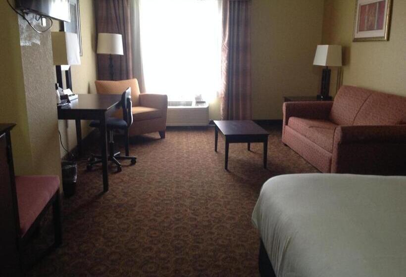 اتاق دلوکس مخصوص معلولین, La Quinta By Wyndham Vicksburg