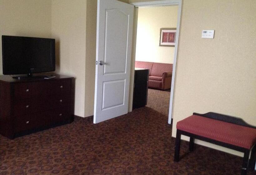 سوئیت با تخت بزرگ, La Quinta By Wyndham Vicksburg