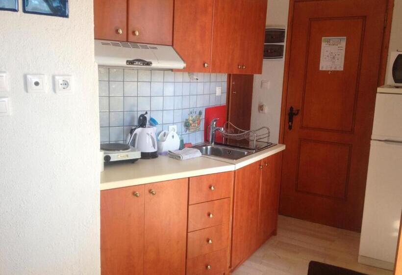 آپارتمان 1 خوابه با چشم‌انداز, Mantraki Hotel Apartments