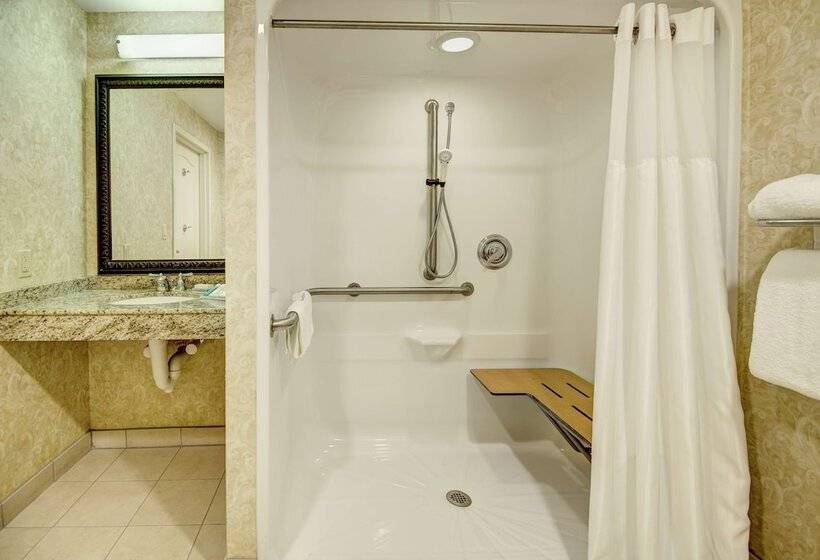 Номер Стандарт Адаптированный для Инвалидов, Hilton Garden Inn Lakewood