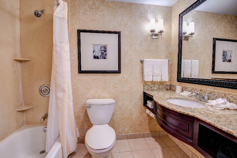 Стандартный Номер Кровать Кинг, Hilton Garden Inn Lakewood