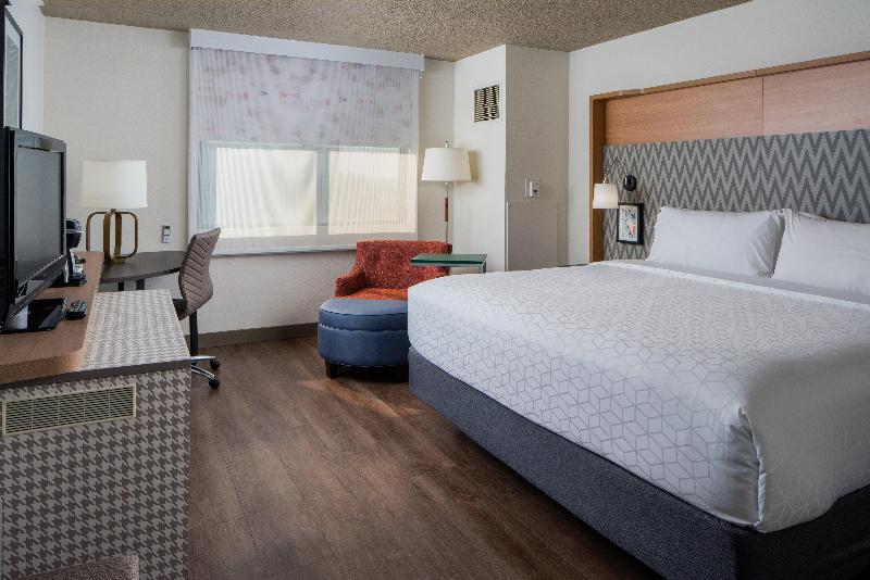 带大床的行政房间, Holiday Inn Tampa Westshore   Airport Area, An Ihg
