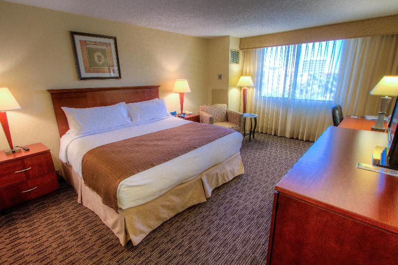 带大床的行政房间, Holiday Inn Tampa Westshore   Airport Area, An Ihg