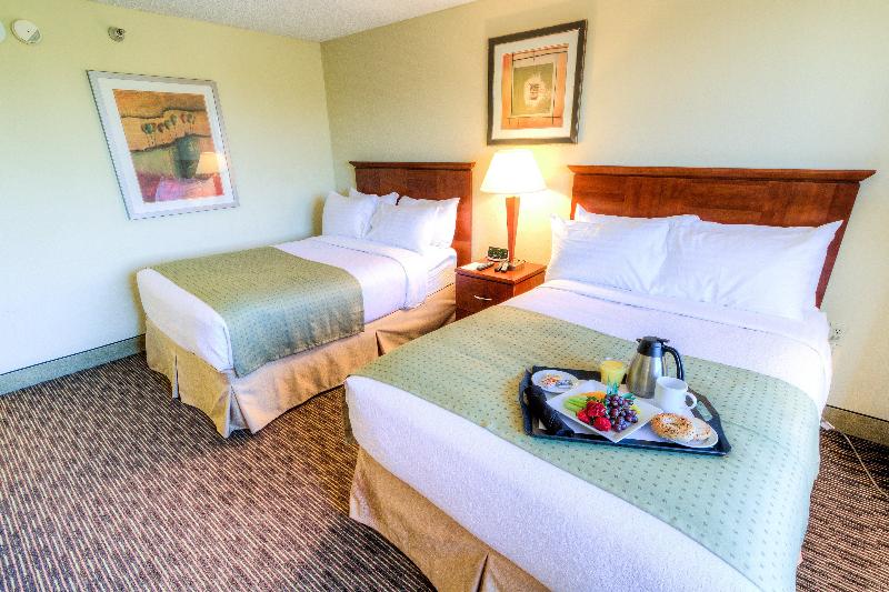 标准间, Holiday Inn Tampa Westshore   Airport Area, An Ihg