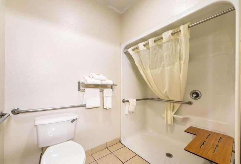 Quarto Estandar Cama King para Deficientes Físicos, Quality Suites