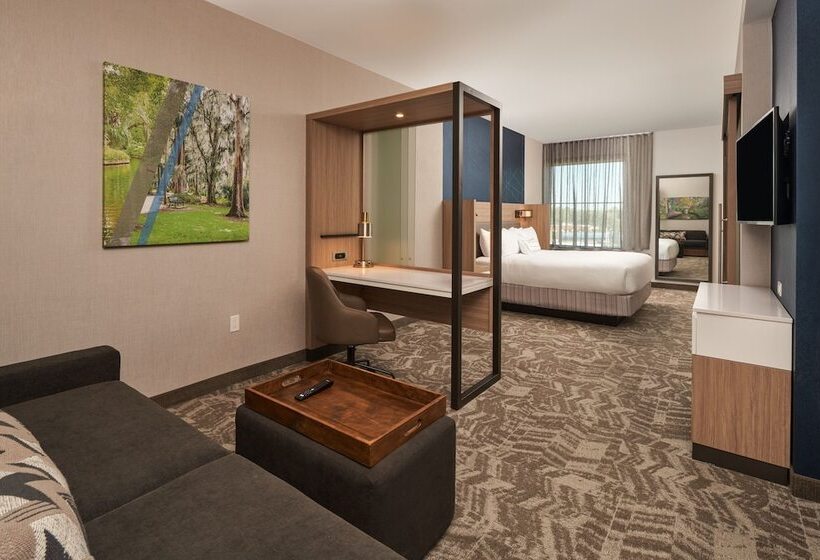 스위트, Springhill Suites By Marriott Winter Park