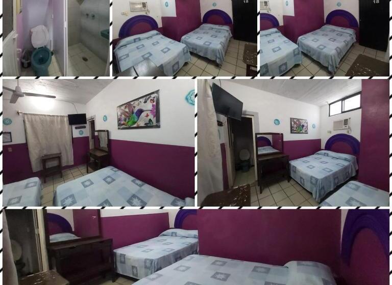 اتاق استاندارد چهار تخته, Ayalamar Manzanillo