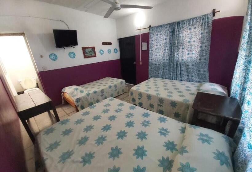 اتاق پنج‌تخته استاندارد, Ayalamar Manzanillo