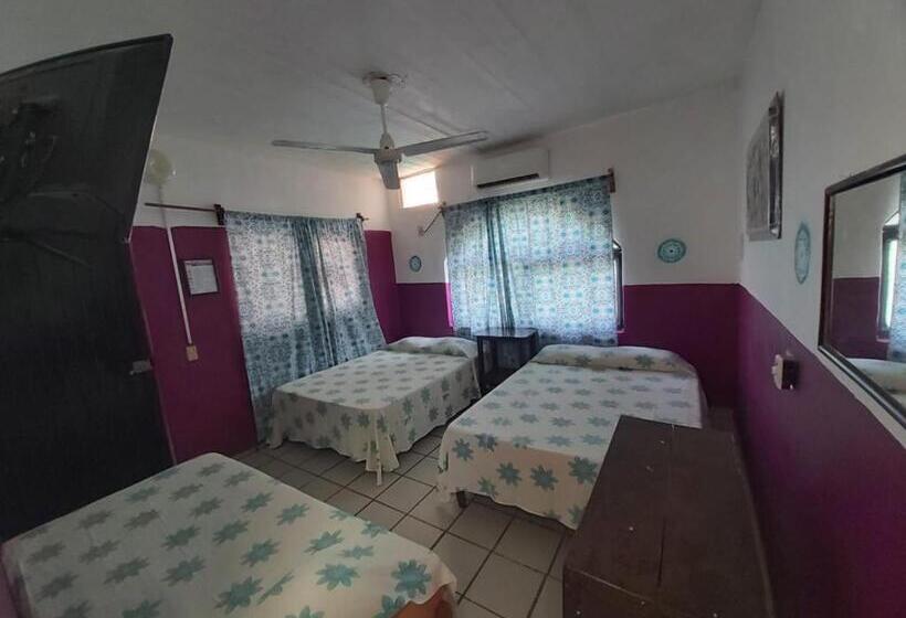 اتاق پنج‌تخته استاندارد, Ayalamar Manzanillo