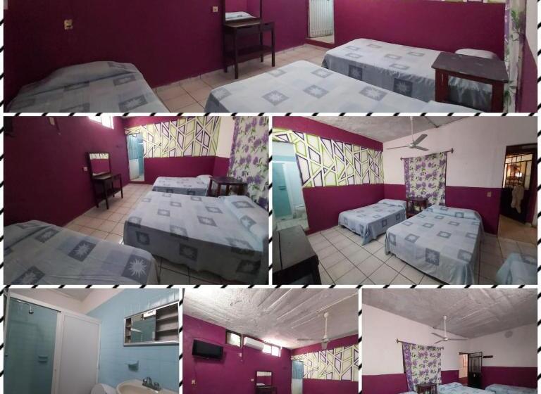 اتاق پنج‌تخته استاندارد, Ayalamar Manzanillo
