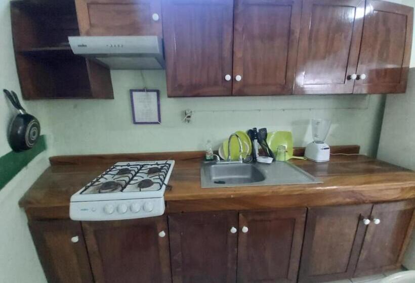 آپارتمان 1 خوابه با تراس, Ayalamar Manzanillo
