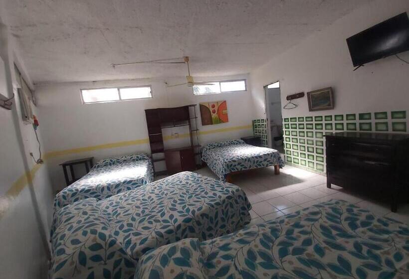 آپارتمان 1 خوابه با تراس, Ayalamar Manzanillo