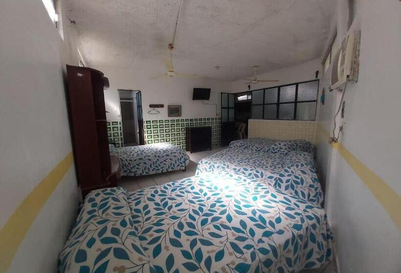آپارتمان 1 خوابه با تراس, Ayalamar Manzanillo
