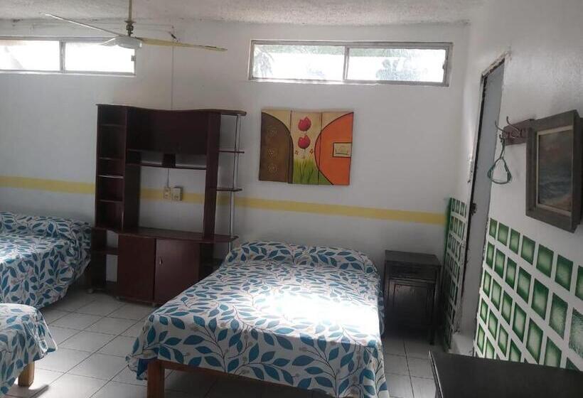 آپارتمان 1 خوابه با تراس, Ayalamar Manzanillo