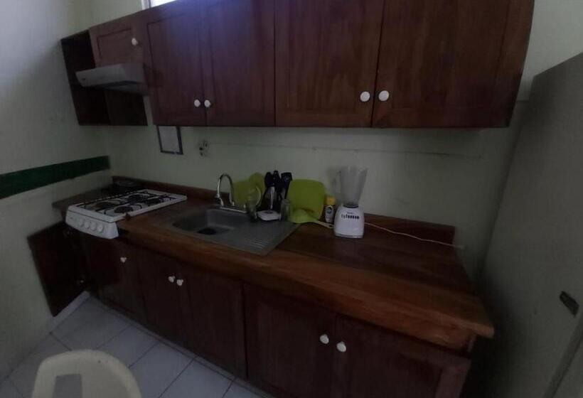 آپارتمان 1 خوابه با تراس, Ayalamar Manzanillo