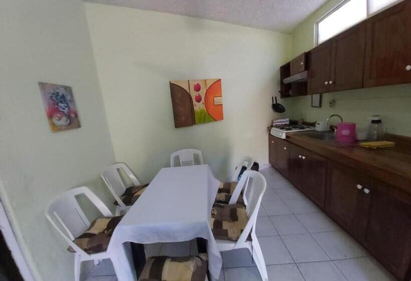 آپارتمان 1 خوابه با تراس, Ayalamar Manzanillo