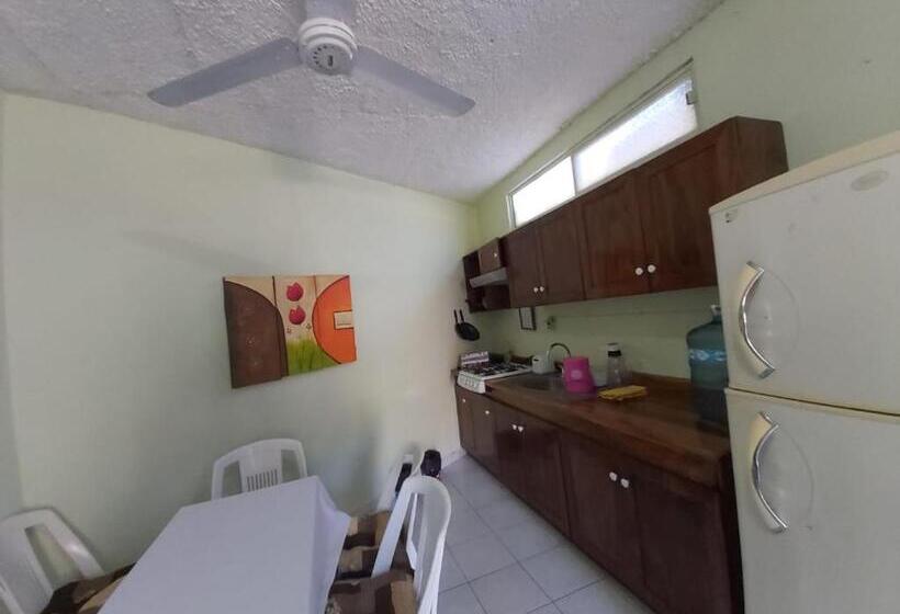 آپارتمان 1 خوابه با تراس, Ayalamar Manzanillo