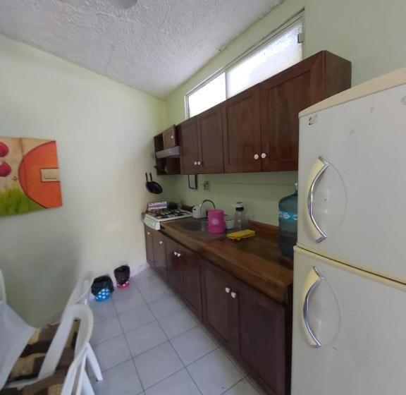 آپارتمان 1 خوابه با تراس, Ayalamar Manzanillo