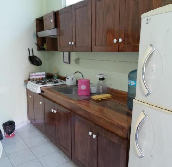 آپارتمان 1 خوابه با تراس, Ayalamar Manzanillo