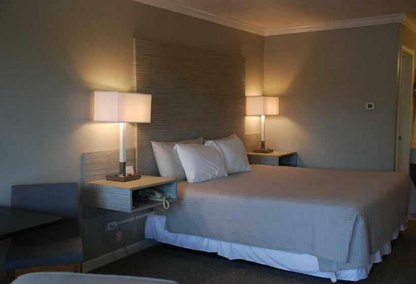 스탠다드 룸 킹사이즈 침대, Berlin Village Inn