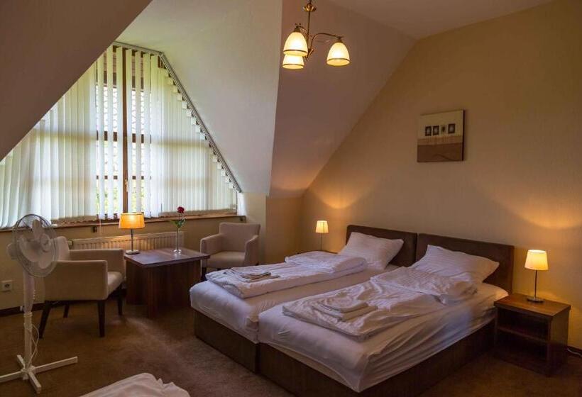 استودیوی استاندارد, Arina Villa