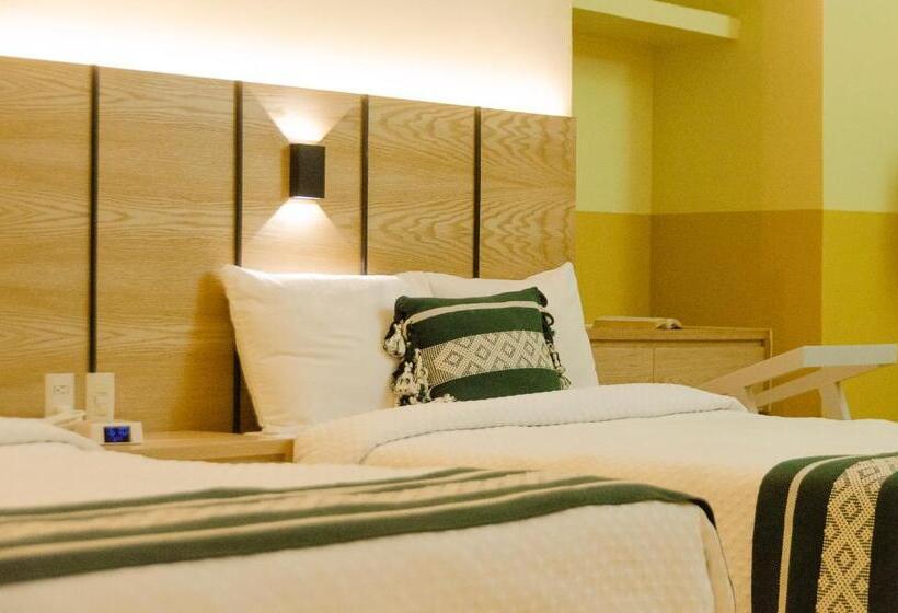 اتاق استاندارد, Casona Oaxaca