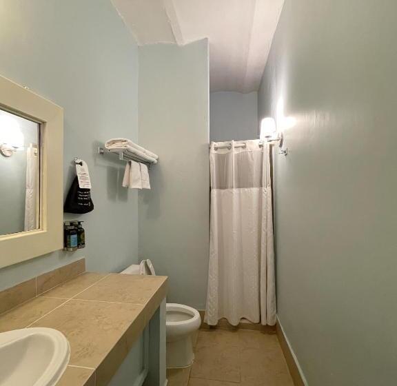 اتاق استاندارد با تخت بزرگ, Casona Oaxaca