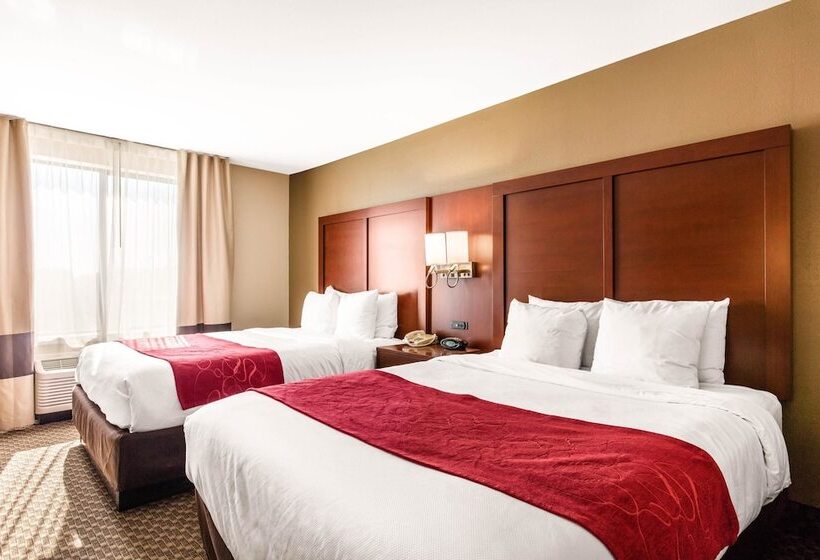 Люкс, Comfort Suites Tuscaloosa Near University