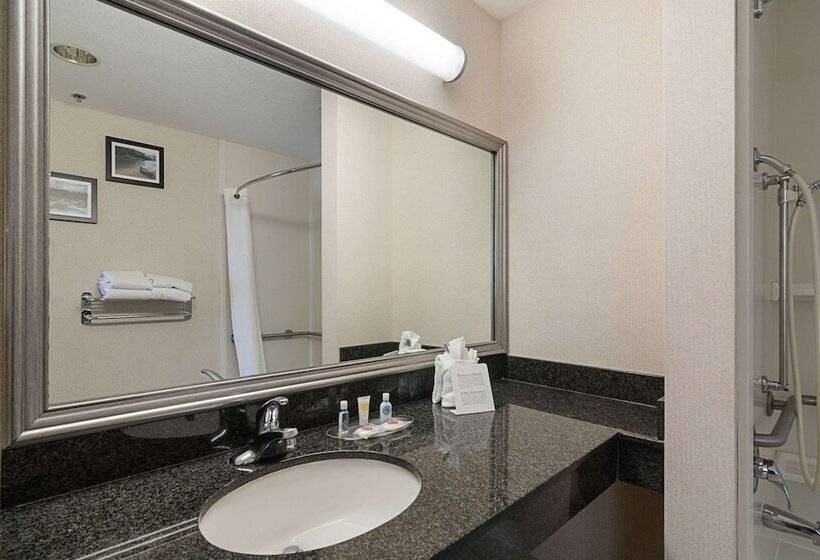 Люкс, Quality Suites Springdale West I 49